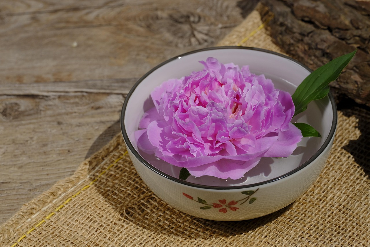 牡丹与芍药，花卉中的双胞胎，如何精准区分？