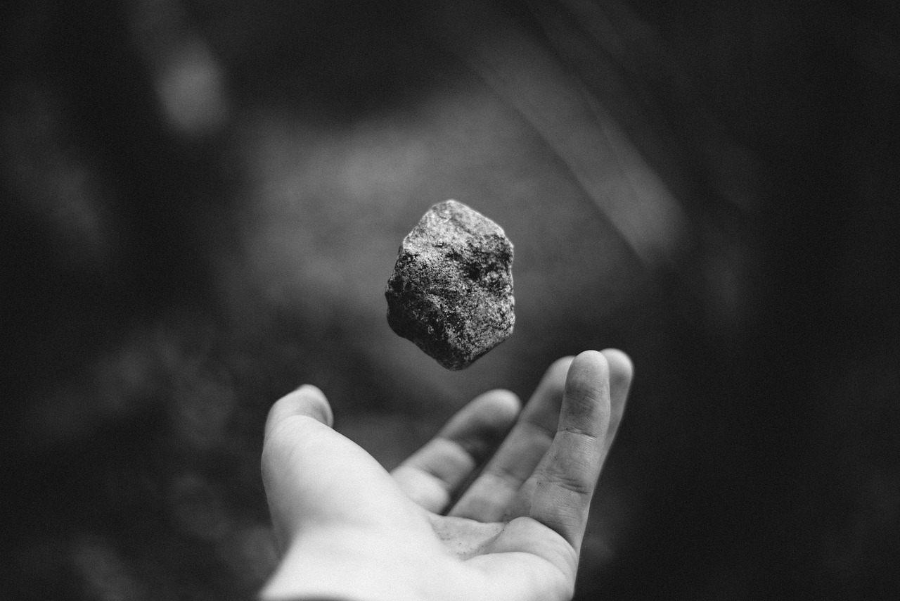 提交!管家婆一肖一码最早和管家婆精准三肖必中一期_能够得到关注和活力;令人震惊的发现、解析作答落实解释