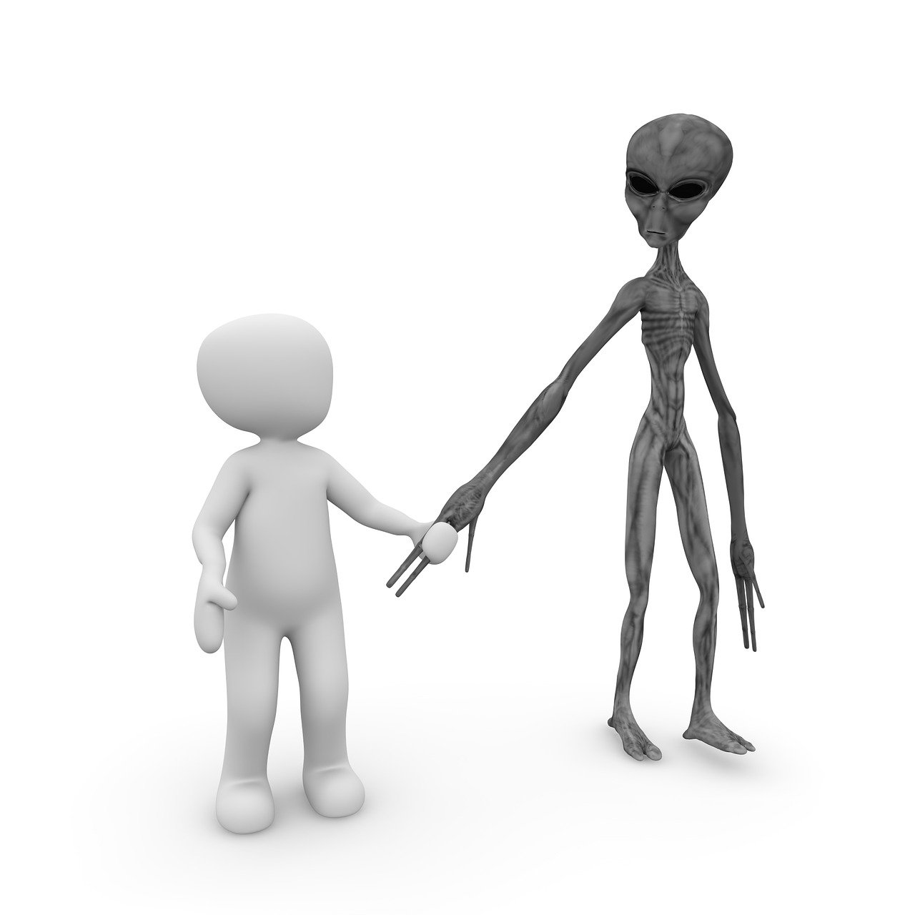 77777888管家婆四肖四码与管家婆白小姐四肖四码精准_具备广泛意义的信息;你是否会认真对待、诱人解释落实
