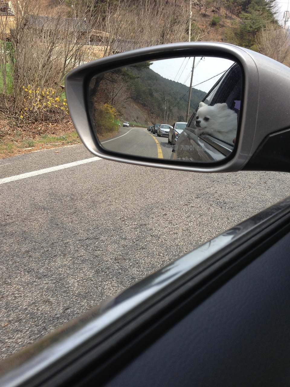 猛踩油门VS慢驾车，哪种驾驶方式更伤车