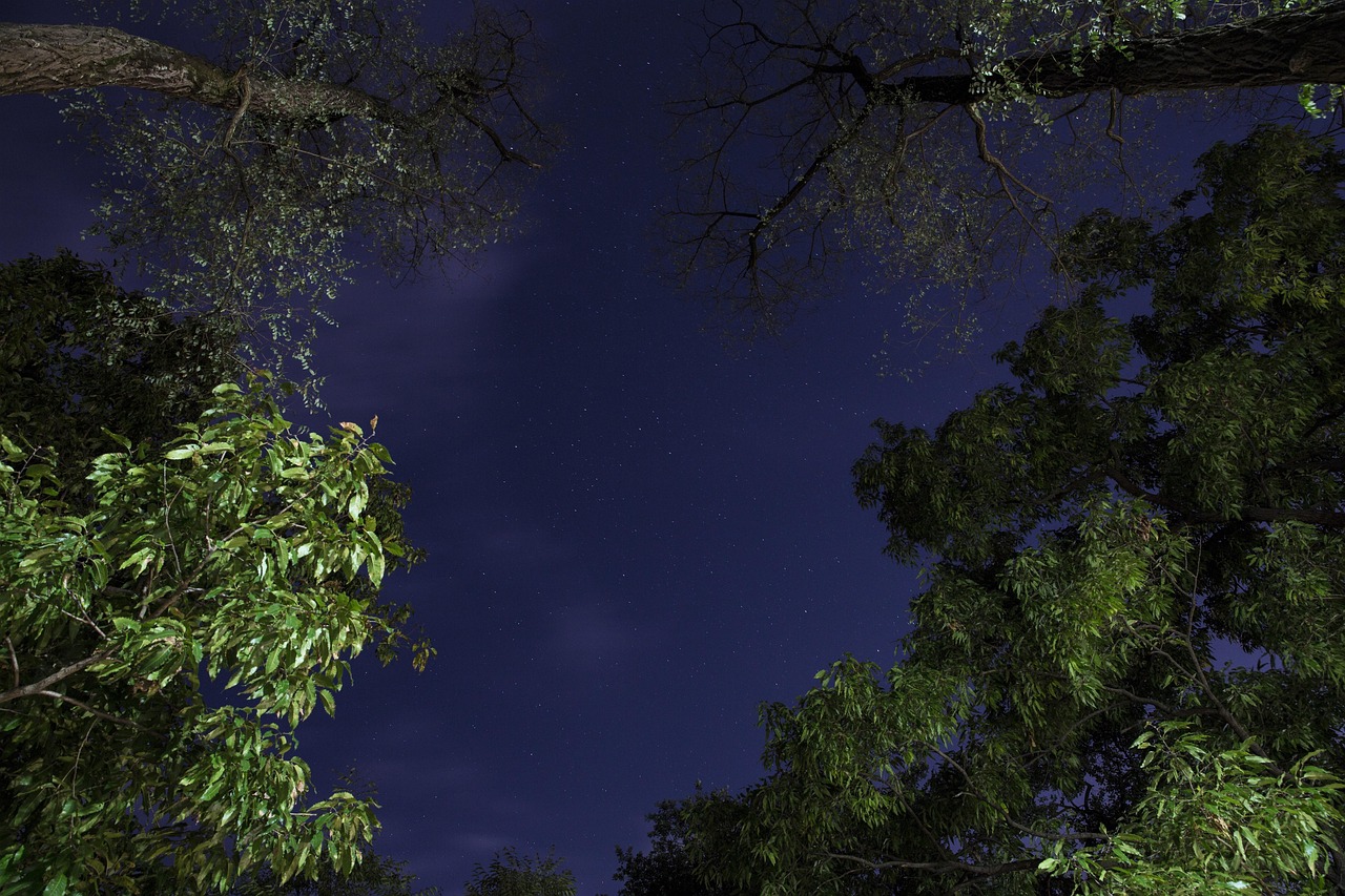 冰湖重生杀青礼之后，星光璀璨之夜，期待未来的辉煌